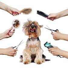 Pet Groomer